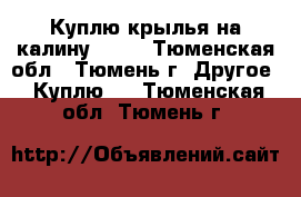 Куплю крылья на калину 1119 - Тюменская обл., Тюмень г. Другое » Куплю   . Тюменская обл.,Тюмень г.